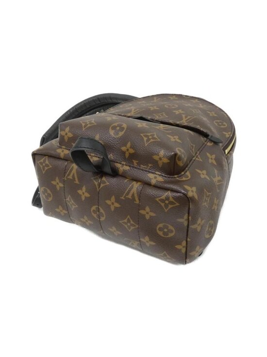 Louis Vuitton Monogram Palm Spring Backpack PM Sac main image 5
